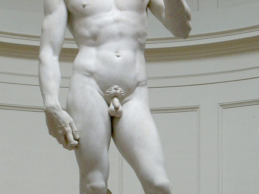 Michelangelo, David, 1501–1504